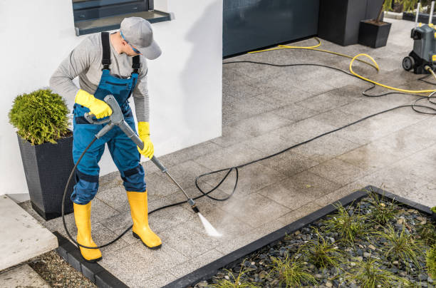 Best Local Pressure Washing Services  in White Pine, TN